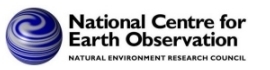 NCEO logo